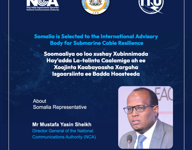 Somalia Joins the International Advisory Body for Submarine Cable Resilience